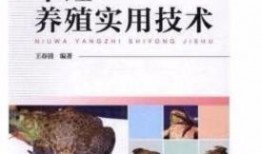 牛蛙饲养爆料视频播放大全,揭秘热门爆料视频播放大全
